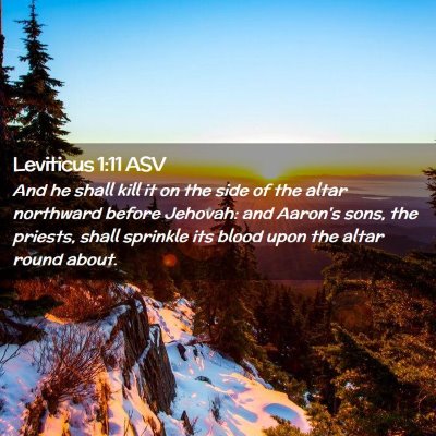 Picture 02 - Leviticus 1:11 ASV - And he shall kill it on the side of the altar - Bible Verse Picture