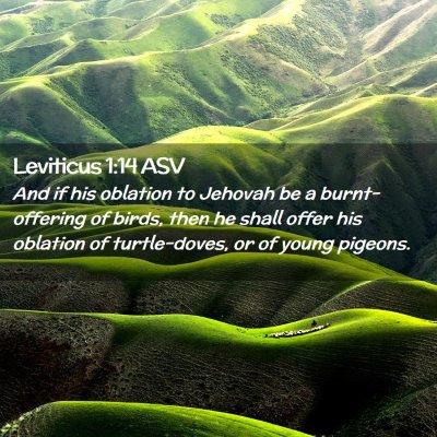 Picture 02 - Leviticus 1:14 ASV - And if his oblation to Jehovah be a - Bible Verse Picture