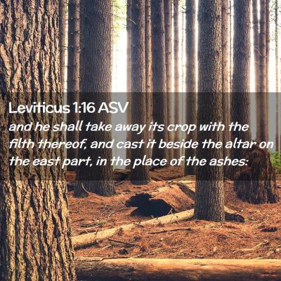 Picture 02 - Leviticus 1:16 ASV - and he shall take away its crop with the filth - Bible Verse Picture