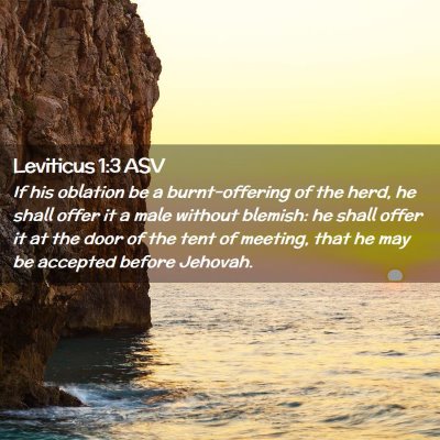 Picture 02 - Leviticus 1:3 ASV - If his oblation be a burnt-offering of the herd, - Bible Verse Picture