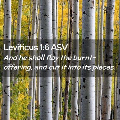 Picture 02 - Leviticus 1:6 ASV - And he shall flay the burnt-offering, and cut it - Bible Verse Picture