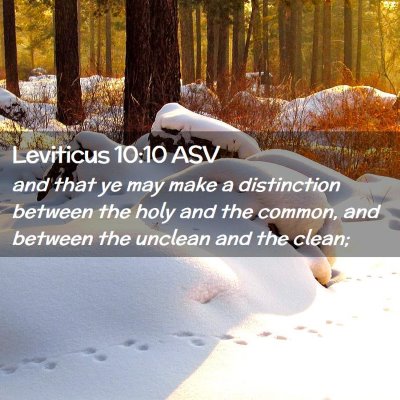 Picture 02 - Leviticus 10:10 ASV - and that ye may make a distinction between the - Bible Verse Picture