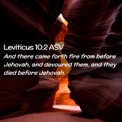 Picture 02 - Leviticus 10:2 ASV - And there came forth fire from before Jehovah, - Bible Verse Picture
