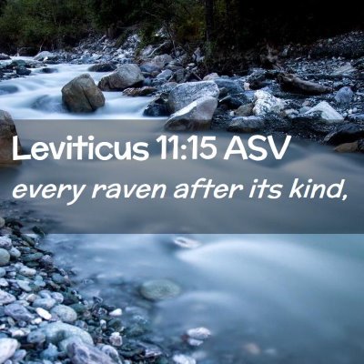 Picture 02 - Leviticus 11:15 ASV - every raven after its - Bible Verse Picture
