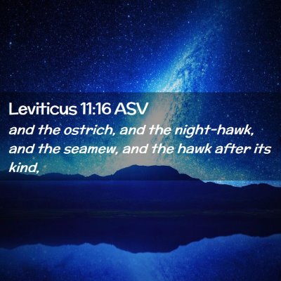 Picture 02 - Leviticus 11:16 ASV - and the ostrich, and the night-hawk, and the - Bible Verse Picture