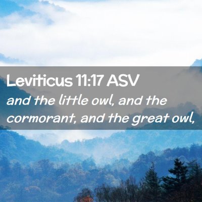 Picture 02 - Leviticus 11:17 ASV - and the little owl, and the cormorant, and the - Bible Verse Picture