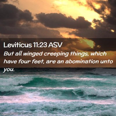 Picture 02 - Leviticus 11:23 ASV - But all winged creeping things, which have four - Bible Verse Picture