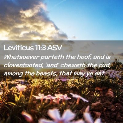 Picture 02 - Leviticus 11:3 ASV - Whatsoever parteth the hoof, and is clovenfooted, - Bible Verse Picture