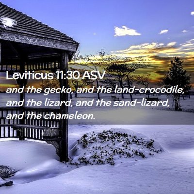 Picture 02 - Leviticus 11:30 ASV - and the gecko, and the land-crocodile, and the - Bible Verse Picture