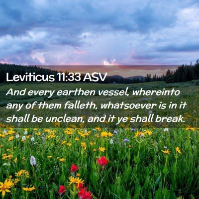 Picture 02 - Leviticus 11:33 ASV - And every earthen vessel, whereinto any of them - Bible Verse Picture