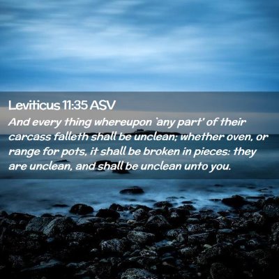 Picture 02 - Leviticus 11:35 ASV - And every thing whereupon `any part' of their - Bible Verse Picture