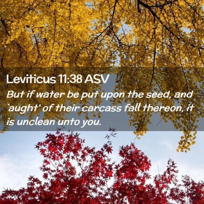 Picture 02 - Leviticus 11:38 ASV - But if water be put upon the seed, and `aught' of - Bible Verse Picture