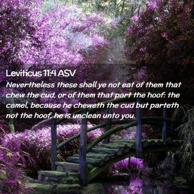 Picture 02 - Leviticus 11:4 ASV - Nevertheless these shall ye not eat of them that - Bible Verse Picture