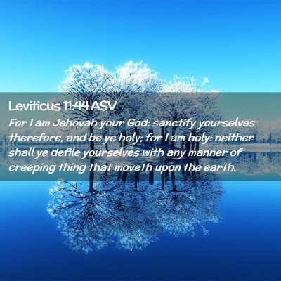 Picture 02 - Leviticus 11:44 ASV - For I am Jehovah your God: sanctify yourselves - Bible Verse Picture