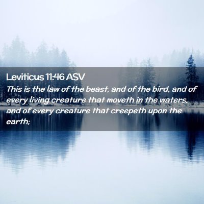 Picture 02 - Leviticus 11:46 ASV - This is the law of the beast, and of the bird, - Bible Verse Picture