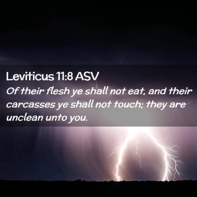Picture 02 - Leviticus 11:8 ASV - Of their flesh ye shall not eat, and their - Bible Verse Picture