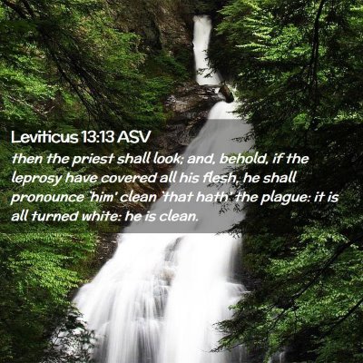 Picture 02 - Leviticus 13:13 ASV - then the priest shall look; and, behold, if the - Bible Verse Picture