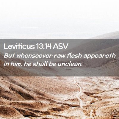 Picture 02 - Leviticus 13:14 ASV - But whensoever raw flesh appeareth in him, he - Bible Verse Picture