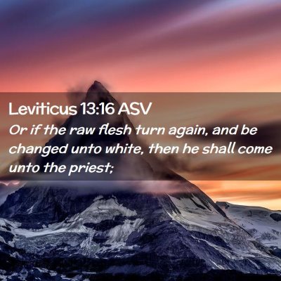 Picture 02 - Leviticus 13:16 ASV - Or if the raw flesh turn again, and be changed - Bible Verse Picture