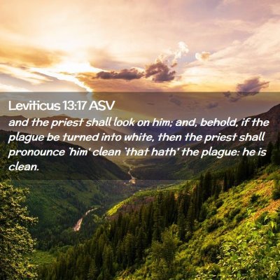 Picture 02 - Leviticus 13:17 ASV - and the priest shall look on him; and, behold, if - Bible Verse Picture