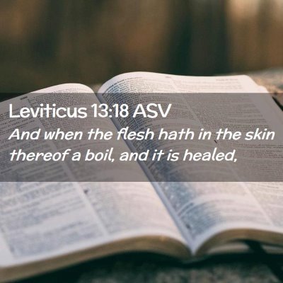 Picture 02 - Leviticus 13:18 ASV - And when the flesh hath in the skin thereof a - Bible Verse Picture