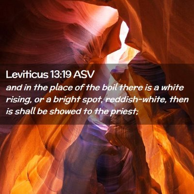 Picture 02 - Leviticus 13:19 ASV - and in the place of the boil there is a white - Bible Verse Picture