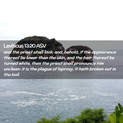 Picture 02 - Leviticus 13:20 ASV - and the priest shall look; and, behold, if the - Bible Verse Picture