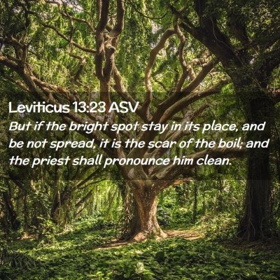 Picture 02 - Leviticus 13:23 ASV - But if the bright spot stay in its place, and be - Bible Verse Picture