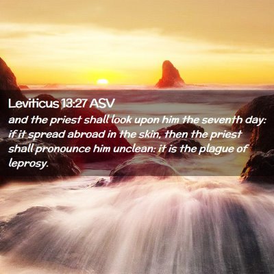Picture 02 - Leviticus 13:27 ASV - and the priest shall look upon him the seventh - Bible Verse Picture