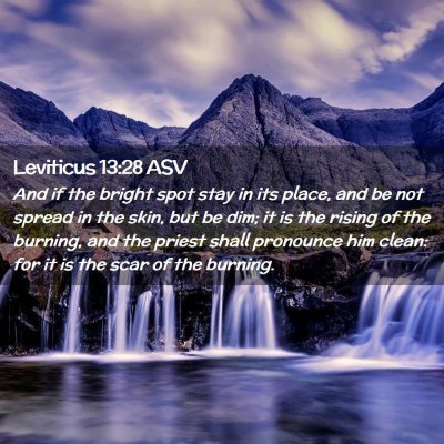Picture 02 - Leviticus 13:28 ASV - And if the bright spot stay in its place, and be - Bible Verse Picture