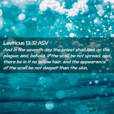 Picture 02 - Leviticus 13:32 ASV - And in the seventh day the priest shall look on - Bible Verse Picture