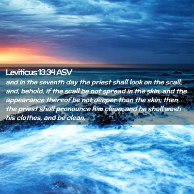 Picture 02 - Leviticus 13:34 ASV - and in the seventh day the priest shall look on - Bible Verse Picture