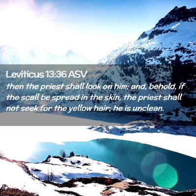 Picture 02 - Leviticus 13:36 ASV - then the priest shall look on him; and, behold, - Bible Verse Picture