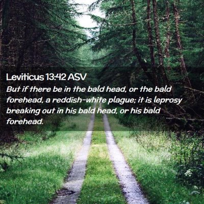 Picture 02 - Leviticus 13:42 ASV - But if there be in the bald head, or the bald - Bible Verse Picture