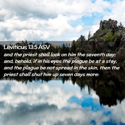 Picture 02 - Leviticus 13:5 ASV - and the priest shall look on him the seventh day: - Bible Verse Picture