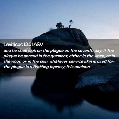 Picture 02 - Leviticus 13:51 ASV - and he shall look on the plague on the seventh - Bible Verse Picture