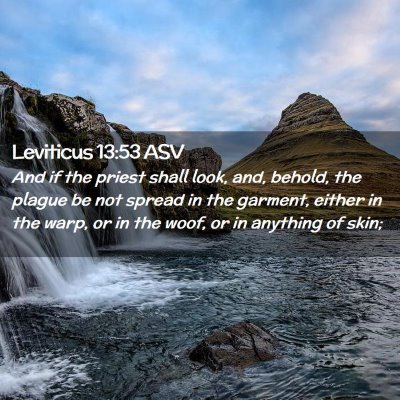 Picture 02 - Leviticus 13:53 ASV - And if the priest shall look, and, behold, the - Bible Verse Picture