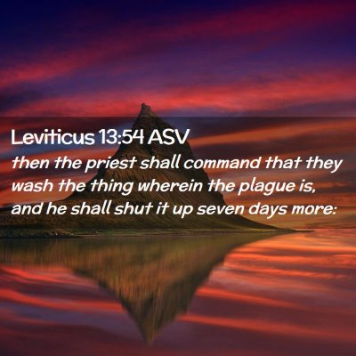 Picture 02 - Leviticus 13:54 ASV - then the priest shall command that they wash the - Bible Verse Picture