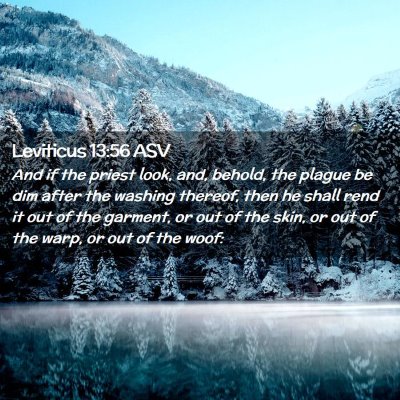 Picture 02 - Leviticus 13:56 ASV - And if the priest look, and, behold, the plague - Bible Verse Picture