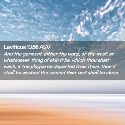 Picture 02 - Leviticus 13:58 ASV - And the garment, either the warp, or the woof, or - Bible Verse Picture