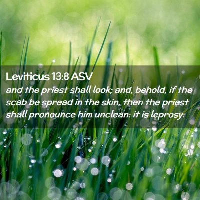 Picture 02 - Leviticus 13:8 ASV - and the priest shall look; and, behold, if the - Bible Verse Picture