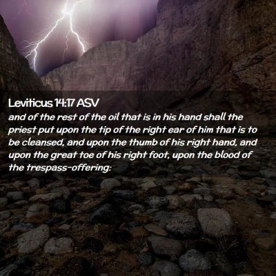 Picture 02 - Leviticus 14:17 ASV - and of the rest of the oil that is in his hand - Bible Verse Picture