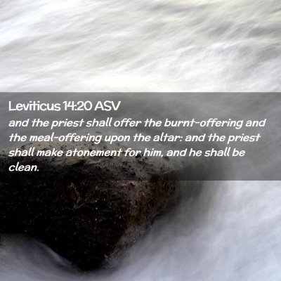 Picture 02 - Leviticus 14:20 ASV - and the priest shall offer the burnt-offering and - Bible Verse Picture