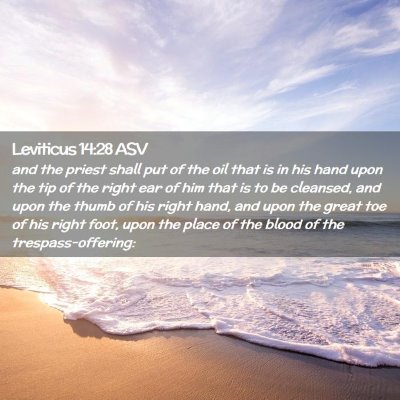 Picture 02 - Leviticus 14:28 ASV - and the priest shall put of the oil that is in - Bible Verse Picture