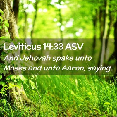 Picture 02 - Leviticus 14:33 ASV - And Jehovah spake unto Moses and unto Aaron, - Bible Verse Picture