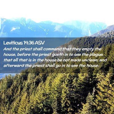 Picture 02 - Leviticus 14:36 ASV - And the priest shall command that they empty the - Bible Verse Picture