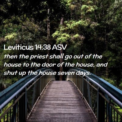 Picture 02 - Leviticus 14:38 ASV - then the priest shall go out of the house to the - Bible Verse Picture