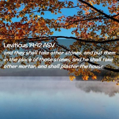 Picture 02 - Leviticus 14:42 ASV - and they shall take other stones, and put them in - Bible Verse Picture
