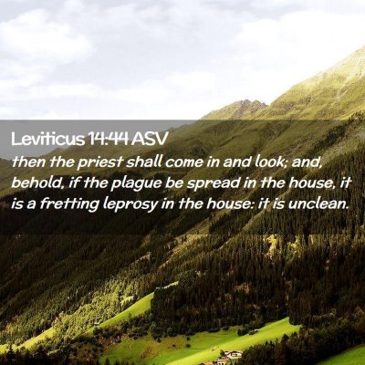 Picture 02 - Leviticus 14:44 ASV - then the priest shall come in and look; and, - Bible Verse Picture