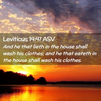 Picture 02 - Leviticus 14:47 ASV - And he that lieth in the house shall wash his - Bible Verse Picture